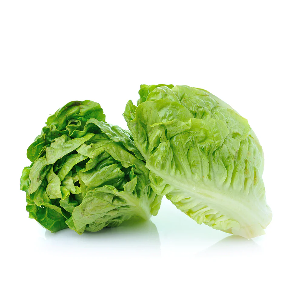 Baby Rumana - Baby Romaine / 500gr
