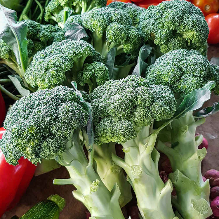 Brokoli Organik - Organic Broccoli / 500g - Image 2