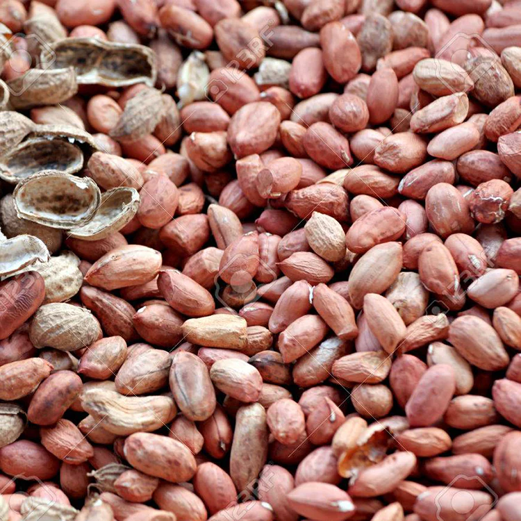 Kacang Tanah Kupas - Shelled peanuts / 500g