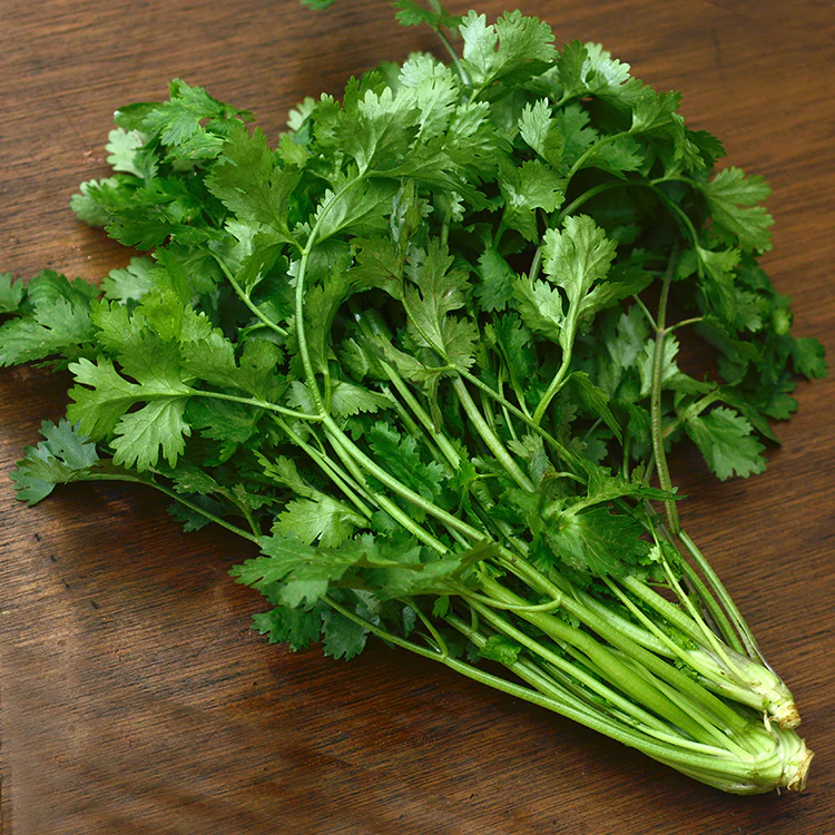Daun Ketumbar - Coriander / 100g