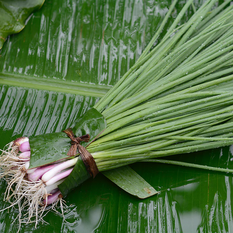 Daun Bawang Organik - Organic Scallions / 100gr