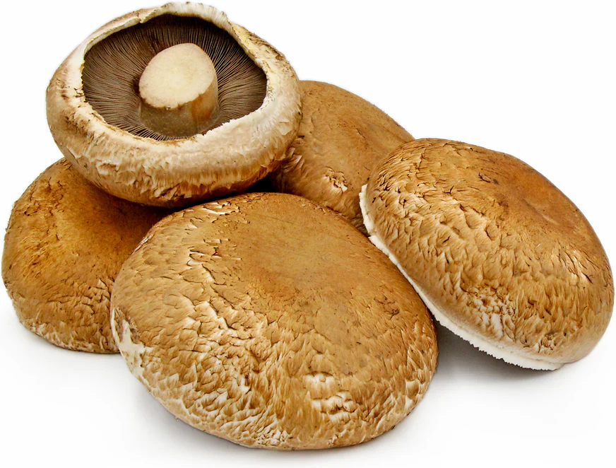 Jamur Portobello - Portobello Mushroom / 250gr