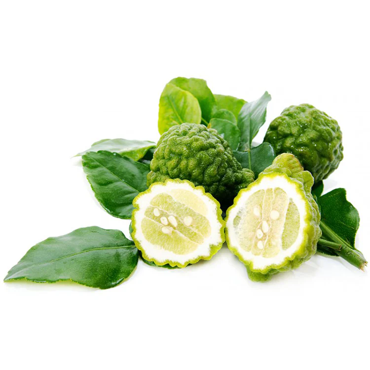 Jeruk Purut/Sambal - Keffir Lime / 500g - Image 2