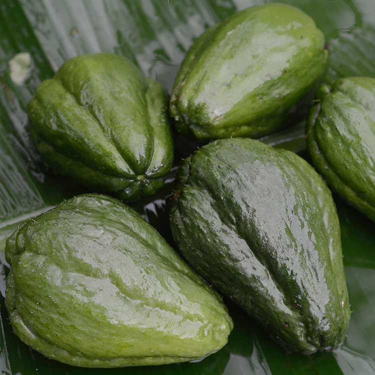 Labu Siam besar Organik - Organic large chayote / biji