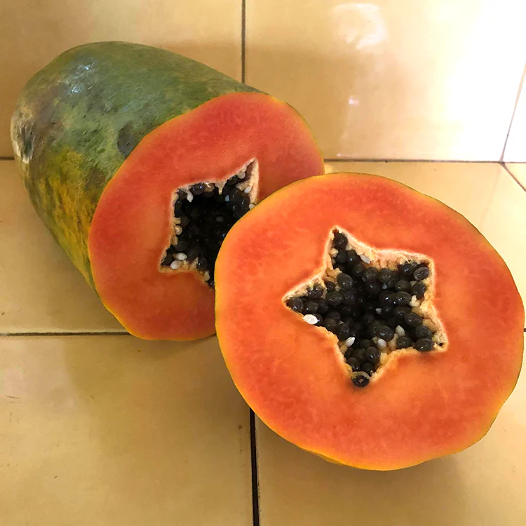 Calina - California Papaya / kg