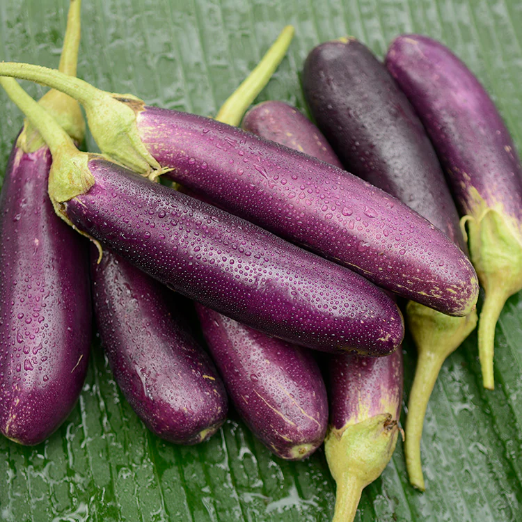 Terong Ungu - Japanese Eggplant / 500gr